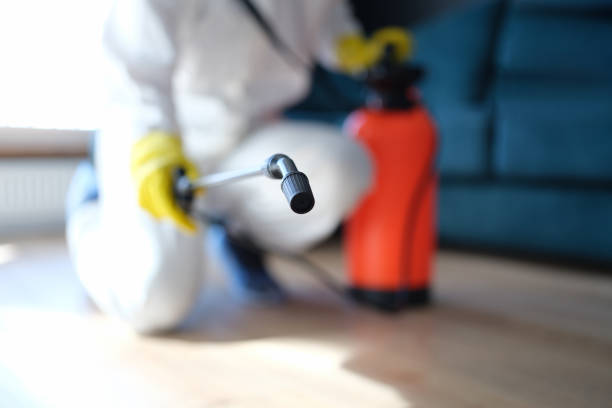 Professional Mold Removal in Villa Hills, KY